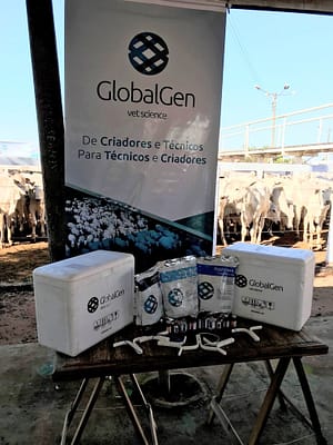 Leilão Esteio comercializa mais de 800 animais GlobalGen