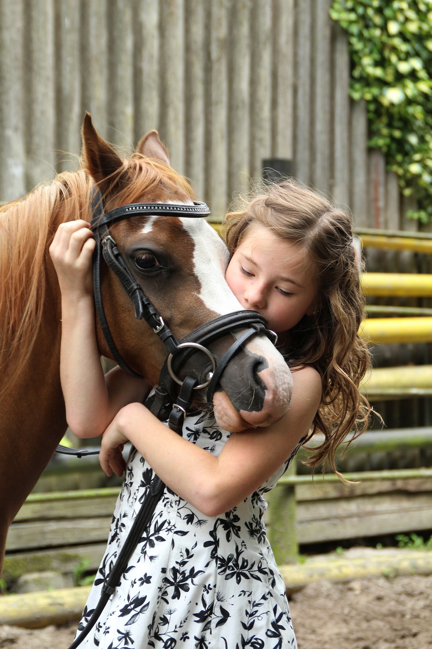 Pôneis e mini-horses são um destaque especial quando se trata de crianças