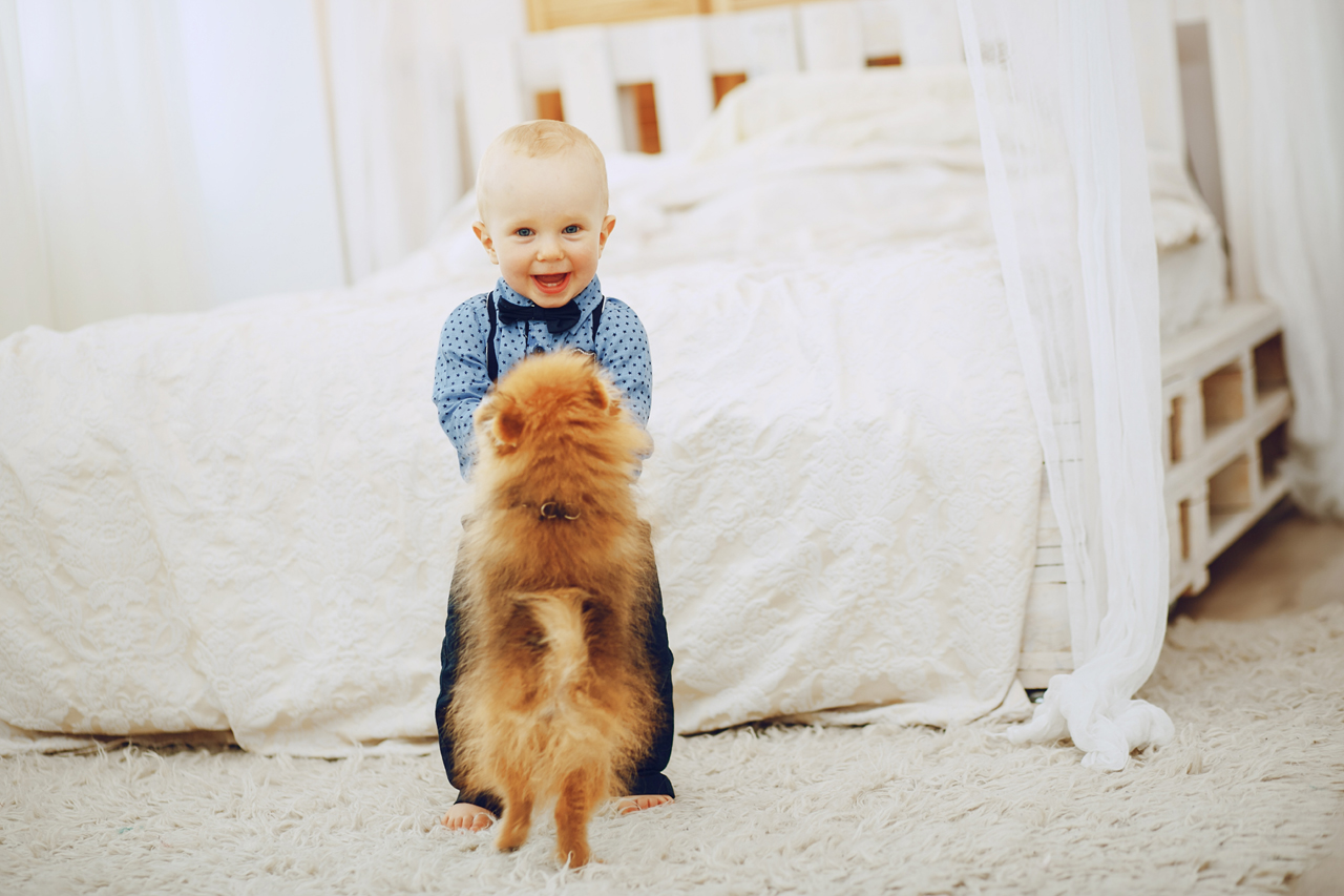 A importância dos pets na infância da criança